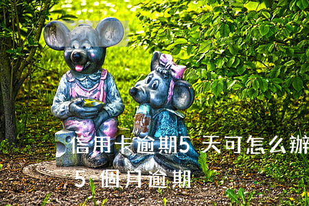 信用卡逾期5天可怎么辦-信用卡5年內有5個月逾期