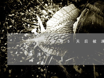 信用卡逾期5天后被凍結(信用卡逾期5天后被凍結了)