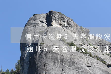 信用卡逾期5天客服說沒有上征信-信用卡逾期5天客服說沒有上征信怎么辦
