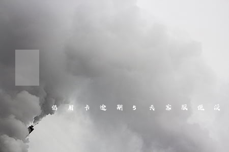 信用卡逾期5天客服说没有上征信