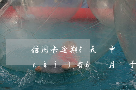 信用卡逾期5天對申請貸款(信用卡5年內(nèi)有6個月處于逾期狀態(tài)能貸款嗎)