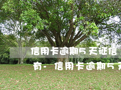 信用卡逾期5天征信會(huì)有影響沒有-信用卡逾期5天征信會(huì)有影響沒有逾期嗎