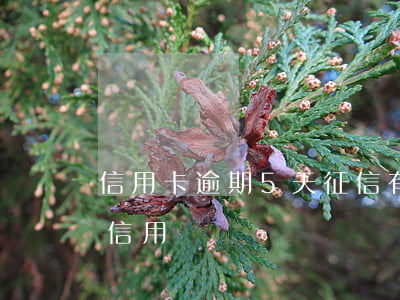 信用卡逾期5天征信有事嗎(逾期5天會影響信用嗎)