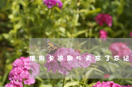 信用卡逾期5天忘了(忘记还信用卡逾期5天)