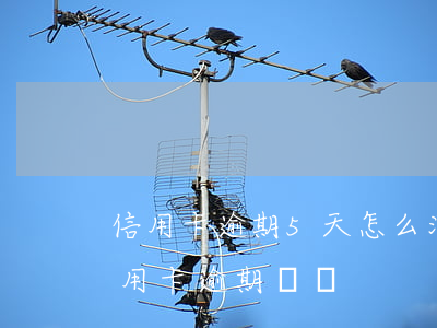 信用卡逾期5天怎么消除記錄嗎(如何消除信用卡逾期記錄)