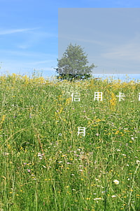 信用卡逾期5天房貸(房貸逾期五個(gè)月)