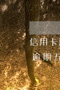 信用卡逾期5天會(huì)有征信(信用卡逾期五天會(huì)怎樣)