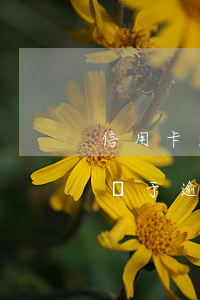 信用卡逾期5天會影響信用不(信用卡5個月處于逾期)