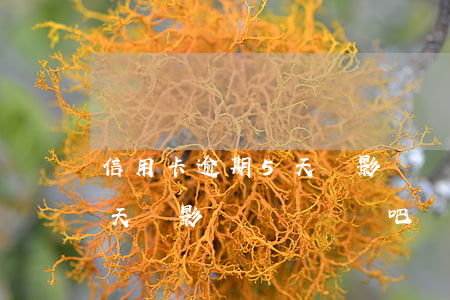 信用卡逾期5天會影響車貸嗎(信用卡逾期5天會影響車貸嗎貼吧)