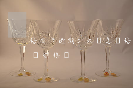 信用卡逾期5天會怎樣(信用卡5天逾期會影響征信嗎)