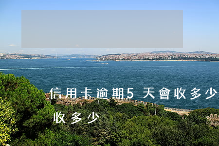 信用卡逾期5天會收多少（信用卡逾期5天會收多少）