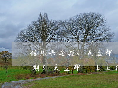 信用卡逾期5天立即還上上征信了(信用卡逾期5天立即還上上征信了有影響嗎)
