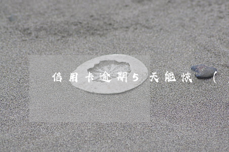 信用卡逾期5天能恢復(fù)征信