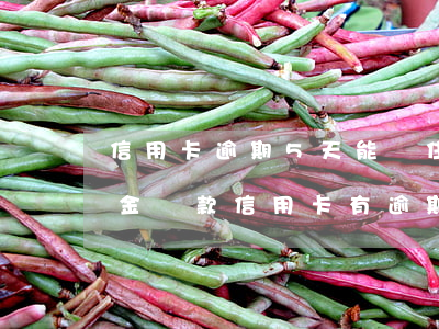 信用卡逾期5天能辦住房公積金-住房公積金貸款信用卡有逾期怎么辦