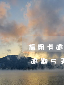 信用卡逾期5天要還利息怎么解決-信用卡逾期5天要還利息怎么解決呢