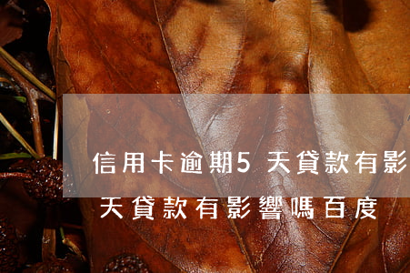 信用卡逾期5天貸款有影響嗎(信用卡逾期5天貸款有影響嗎百度)