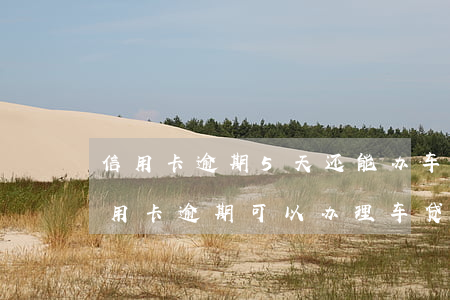 信用卡逾期5天还能办车贷吗(两年内有过信用卡逾期可以办理车贷吗)