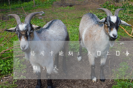 信用卡逾期5天還上沒事吧(忘記還信用卡逾期5天)