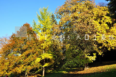 信用卡逾期5天還了最低還款