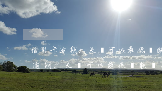 信用卡逾期5天還可以最低還款嗎-信用卡逾期5天還可以最低還款嗎怎么辦