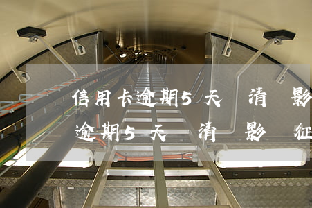 信用卡逾期5天還清會影響征信嗎-信用卡逾期5天還清會影響征信嗎知乎