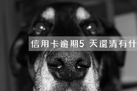 信用卡逾期5天還清有什么后果