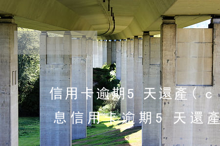 信用卡逾期5天還產(chǎn)生多少利息 信用卡逾期5天還產(chǎn)生多少利息合法