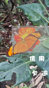 信用卡逾期5年2年(五年內(nèi)信用卡逾期10次但兩年內(nèi)無(wú)逾期)