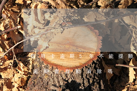 信用卡逾期5年不能提額嗎(信用卡5年前的逾期會自動消除嗎)