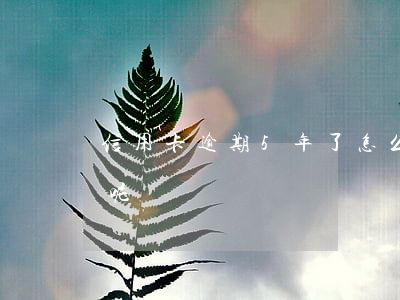 信用卡逾期5年了怎么協(xié)商還款呢
