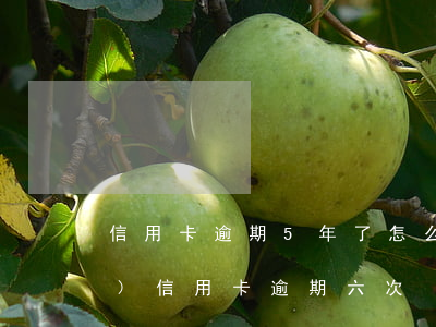 信用卡逾期5年了怎么辦6(五年內(nèi)信用卡逾期六次)