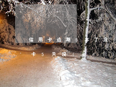 信用卡逾期5年了沒(méi)還款嗎(信用卡5天沒(méi)還算逾期嗎)