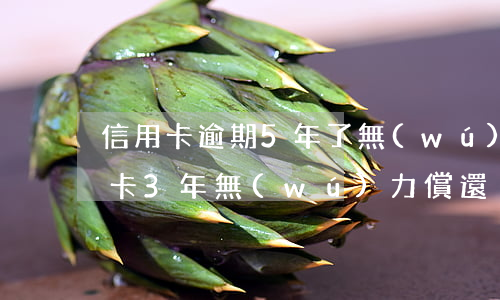 信用卡逾期5年了無(wú)力償還(欠信用卡3年無(wú)力償還)