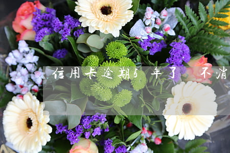 信用卡逾期5年了還不消