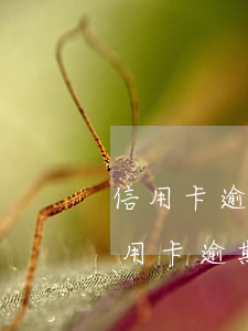 信用卡逾期5年了還會被起訴嗎-有沒有信用卡逾期五年的