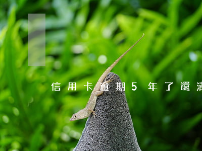 信用卡逾期5年了還清可以漂白嗎