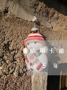 信用卡逾期5年以內(nèi)怎么辦(信用卡5年內(nèi)有逾期)