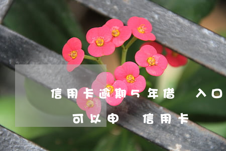 信用卡逾期5年借唄入口能開通嗎 借唄逾期還可以申請信用卡嗎