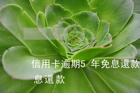信用卡逾期5年免息還款(信用卡逾期5年免息還款)