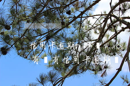 信用卡逾期5年協(xié)商本金打4折(有沒有信用卡逾期協(xié)商還本金成功了的)