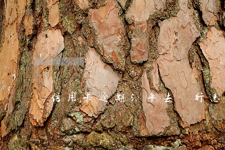 信用卡逾期5年去銀行怎么協(xié)商-