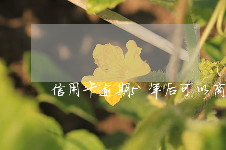信用卡逾期5年后可以商量只还本金吗