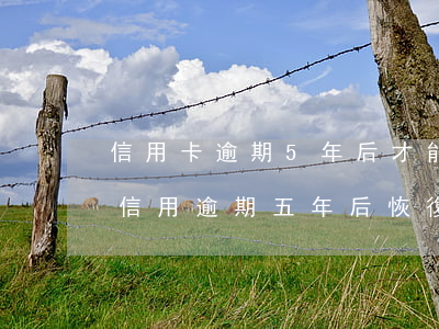 信用卡逾期5年后才能恢復(fù)征信-信用逾期五年后恢復(fù)可以繼續(xù)申請信用卡嗎