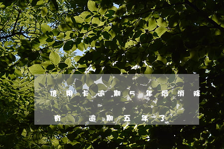 信用卡逾期5年后消除嗎(為什么以前信用卡有過逾期五年了還沒刪除)
