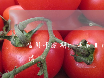 信用卡逾期5年后還清（信用卡逾期5年后還清）