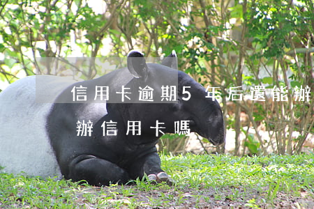 信用卡逾期5年后還能辦嗎 逾期5年后可以辦信用卡嗎?