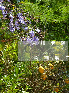 信用卡逾期5年怎么協(xié)商(信用卡逾期幾年了怎么協(xié)商還款)