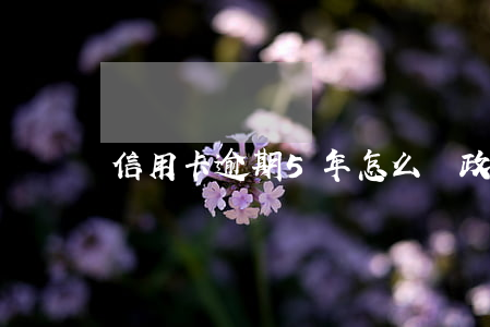 信用卡逾期5年怎么過政審