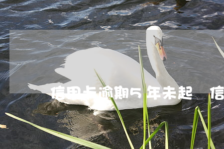 信用卡逾期5年未起訴(信用卡逾期五年)