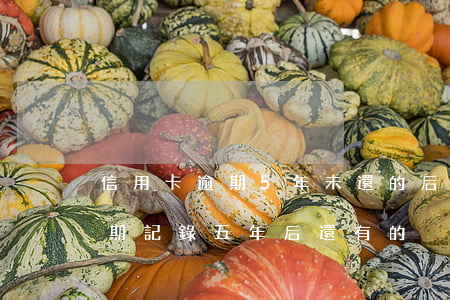 信用卡逾期5年未還的后果(有沒有信用卡逾期記錄五年后還有的)